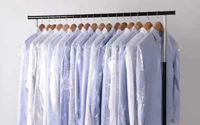 Effortless Dry Cleaning Solutions at Your Fingertips: Discover TheLaundryman App